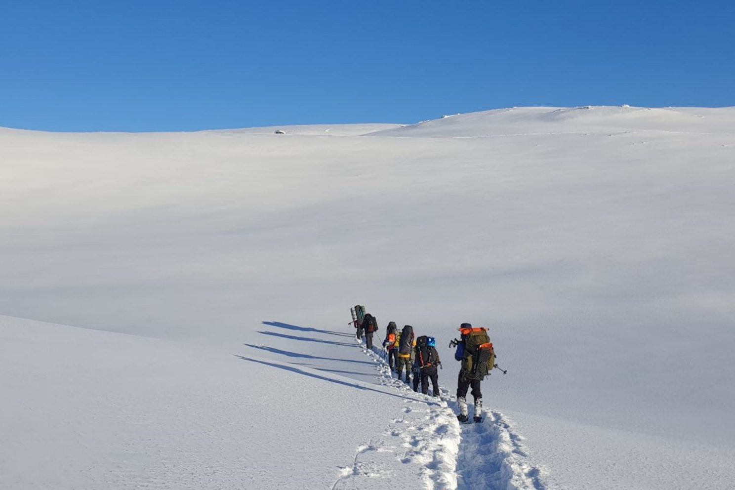 Expedition Limitless